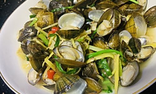 Delightful Recipes for Preparing Tasty Blood Clams Arca subcrenata)