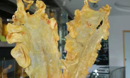 A Comprehensive Guide on How to Properly Soak and Prepare Cod Fish Collagen Codfish Skin Gelatin)