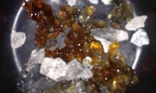 How to Cook Snow Fungus:A Comprehensive Guide