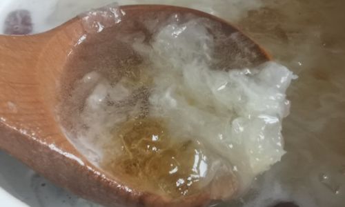 How to Cook Snow Fungus:A Comprehensive Guide