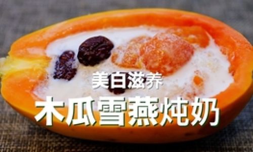 Mastering the Art of Delicious Snow Fungus Desserts:Techniques and Recipes