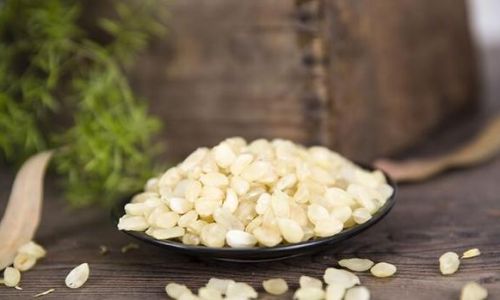 Unraveling the Mystery of Snow Lotus Seeds:A Delicate Delicacy and Natural Healer