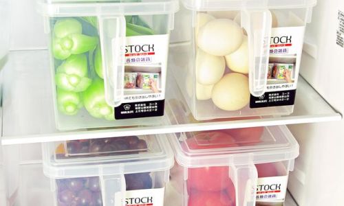 Can Snow Lotus Flowers Be Preserved in a Refrigerator?An In-Depth Exploration