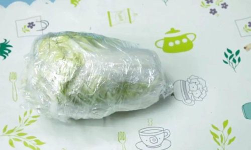 The Proper Preservation Methods for Tibetan Snow Lotus Yogurt Starter Culture