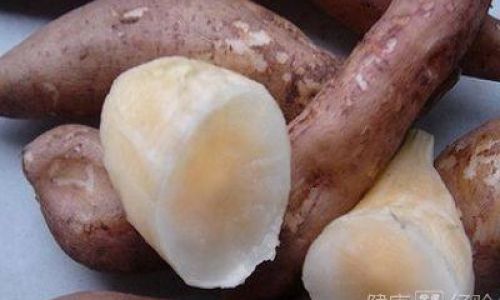 Discovering the Delights of Snow Lotus Fruit:Various Ways to Enjoy Its Unique Flavor