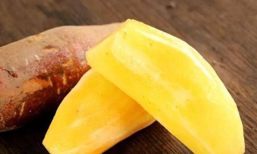 A Simple Introduction to the Ways of Enjoying Yacon Root
