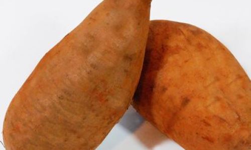 The Preservation Methods of Yacon Root and Why Certain Conditions Render It Inedible