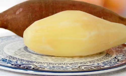 The Preservation Methods of Yacon Root and Why Certain Conditions Render It Inedible