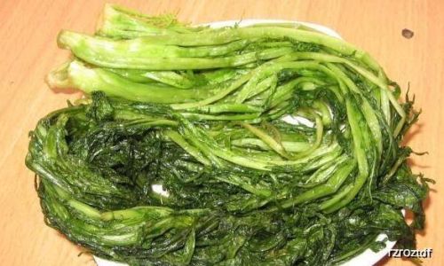 Preserving Potherb Mustard Brassica juncea var.foliosa)A Guide to Pickling Snow Pea Mustard