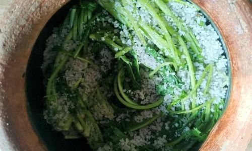 Preserving Potherb Mustard Brassica juncea var.foliosa)A Guide to Pickling Snow Pea Mustard