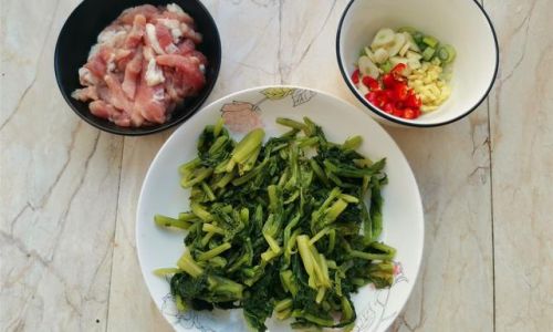 Mastering the Art of Cooking Delicious Potherb Mustard Brassica Juncea)