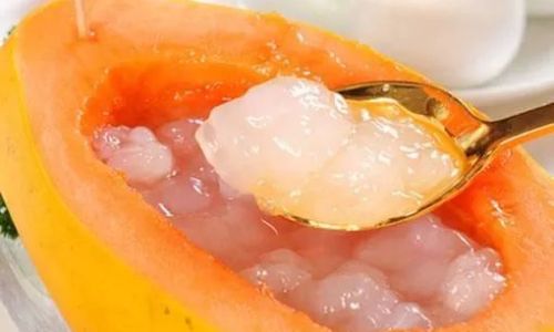 Exploring the Aliases of the Snow Frog:A Delicate Delicacy and Its Cultural Significance