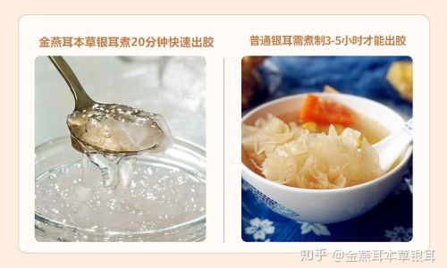 Understanding the Distinctions Between Snow Ear Mushroom and White Jelly Fungus