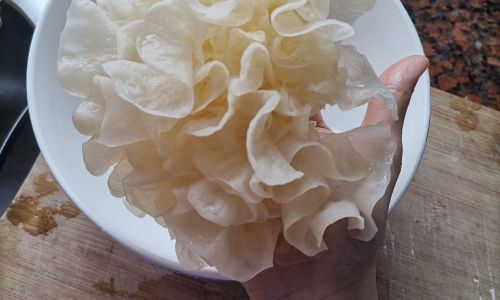 Understanding the Distinctions Between Snow Ear Mushroom and White Jelly Fungus