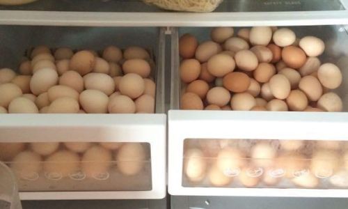 The Necessity of Refrigerating Eggs:A Comprehensive Guide