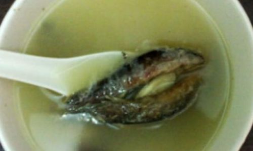 A Culinary Delight:Introducing the Recipe for Stitchball Mushroom and Black-Bone Chicken Soup
