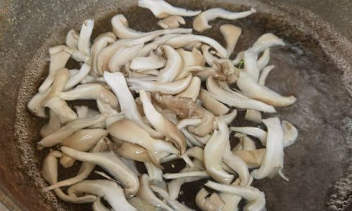 The Optimal Preparation of Shiitake Mushrooms:Is Blanching the Best Approach?