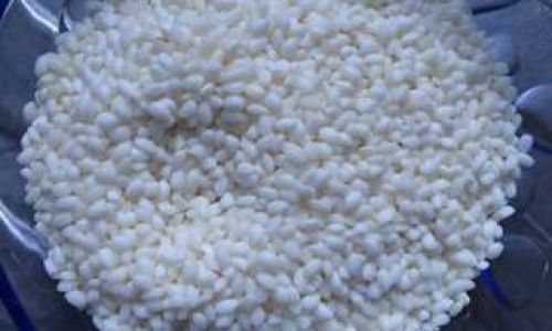 A Culinary Delight:Crafting the Perfect Panda Bean Sticky Rice Porridge