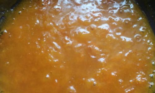 An Introduction to the Ingredients for Making Apricot Jam