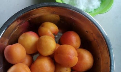 An Introduction to the Ingredients for Making Apricot Jam
