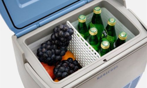 Can Apricots Be Frozen in the Refrigerator?A Comprehensive Guide