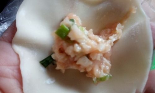Can Pleurotus Eryngii King Oyster Mushroom)Be Used to Make Dumplings?An In-Depth Exploration