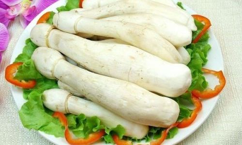 Are Pleurotus Eryngii and Coprinus Comatus the Same?Unraveling the Mystery of Mushroom Identity