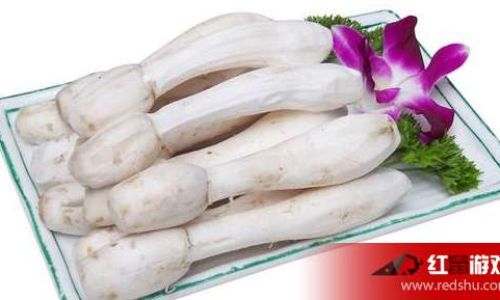 Are Pleurotus Eryngii and Coprinus Comatus the Same?Unraveling the Mystery of Mushroom Identity