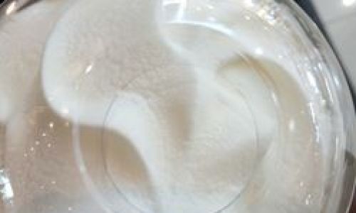 Customizing Your Starbucks Frappuccino:Can You Request Less Sugar?