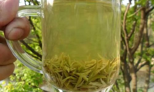 How Long Can Xinyang Maojian Tea Be Preserved?