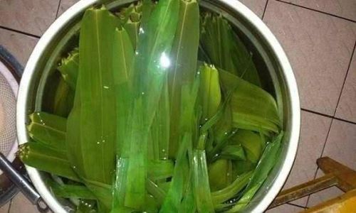 The Art of Boiling Fresh Bamboo Leaves:How Long is Just Right?