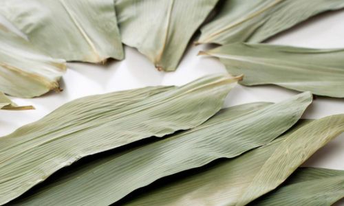 The Art of Boiling Fresh Bamboo Leaves:How Long is Just Right?