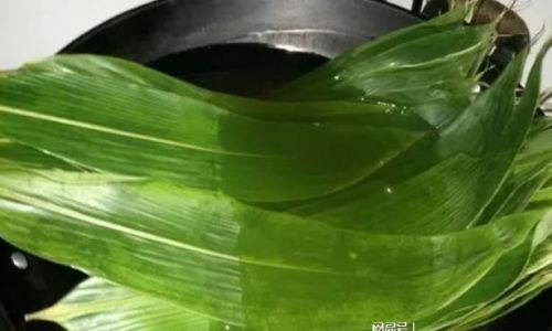 Unraveling the Mystery:Why Fresh Bamboo Leaves Lack Aroma