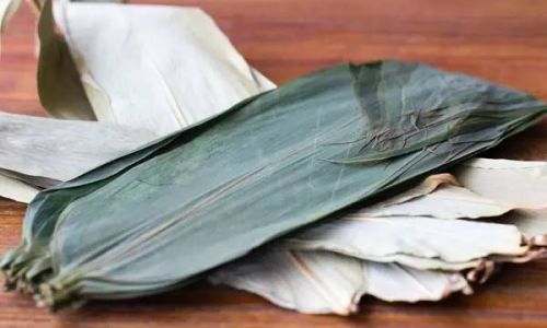 Unraveling the Mystery:Why Fresh Bamboo Leaves Lack Aroma