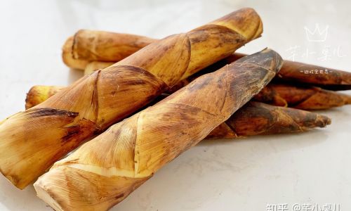 Delightful Ways to Cook with Fresh Bamboo Shoots