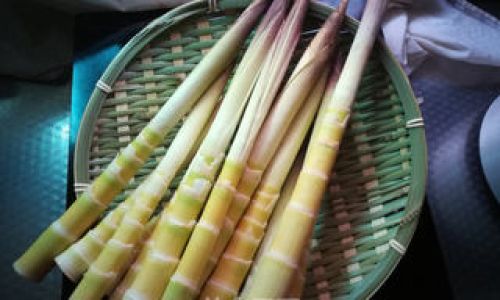 How to Prepare Fresh Bamboo Shoots:A Culinary Guide