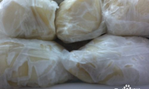 Preserving Fresh Bamboo Shoots for Extended Periods