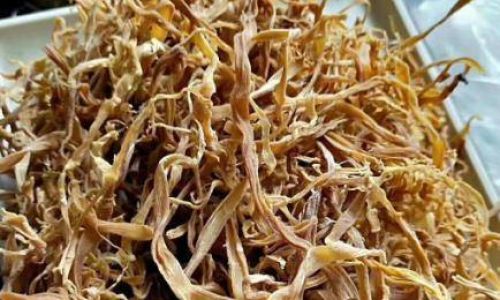 Mastering the Art of Stewing Meat with Fresh Bamboo Shoots:A Culinary Delight