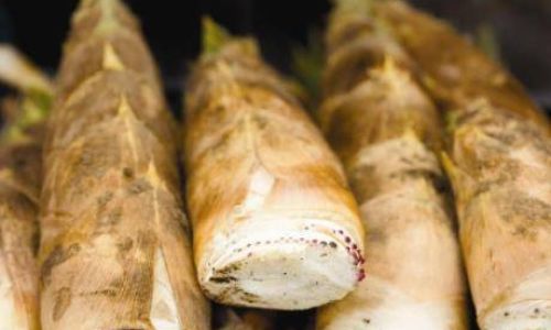 Mastering the Art of Stewing Meat with Fresh Bamboo Shoots:A Culinary Delight