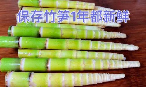 Preserving the Freshness of Bamboo Shoots:Effective Storage Methods