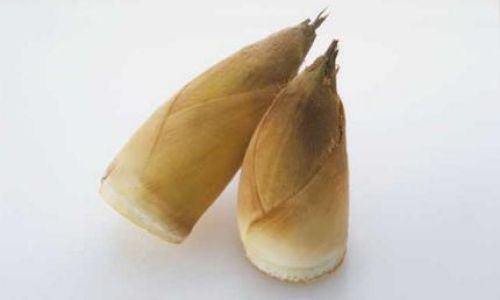 Preserving the Freshness of Bamboo Shoots:Effective Storage Methods