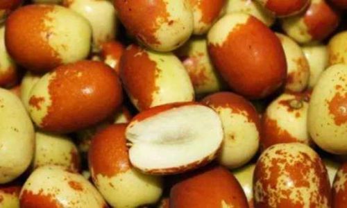 Preserving Fresh Jujubes:Effective Techniques and Tips