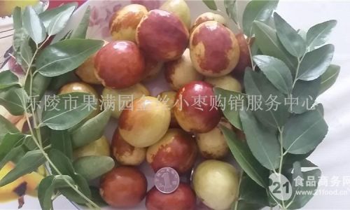 Preserving Fresh Jujubes:Effective Techniques and Tips