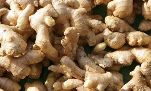 Preserving Fresh Young Ginger for Winter:A Comprehensive Guide