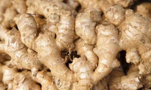 Preserving Fresh Young Ginger for Winter:A Comprehensive Guide