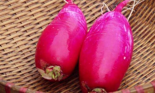Preserving Fresh Young Ginger for Winter:A Comprehensive Guide
