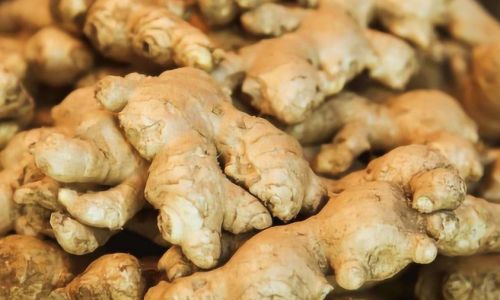 Preserving Fresh Young Ginger for Winter:A Comprehensive Guide