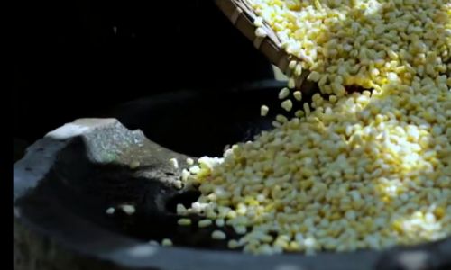 A Comprehensive Guide to Cooking with Fresh Corn:Delightful Culinary Adventures