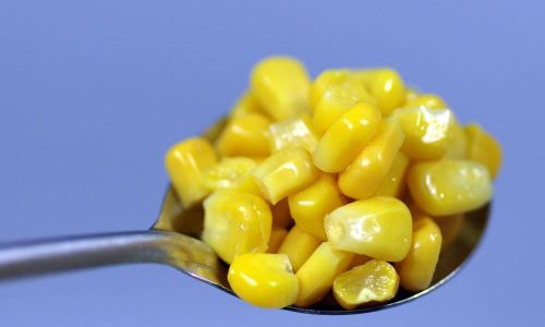 How Long Does It Take to Steam Fresh Corn to Perfection?