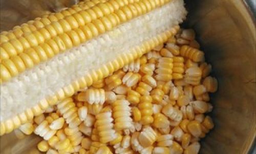 Preserving the Freshness of Sweet Corn:Techniques and Tips